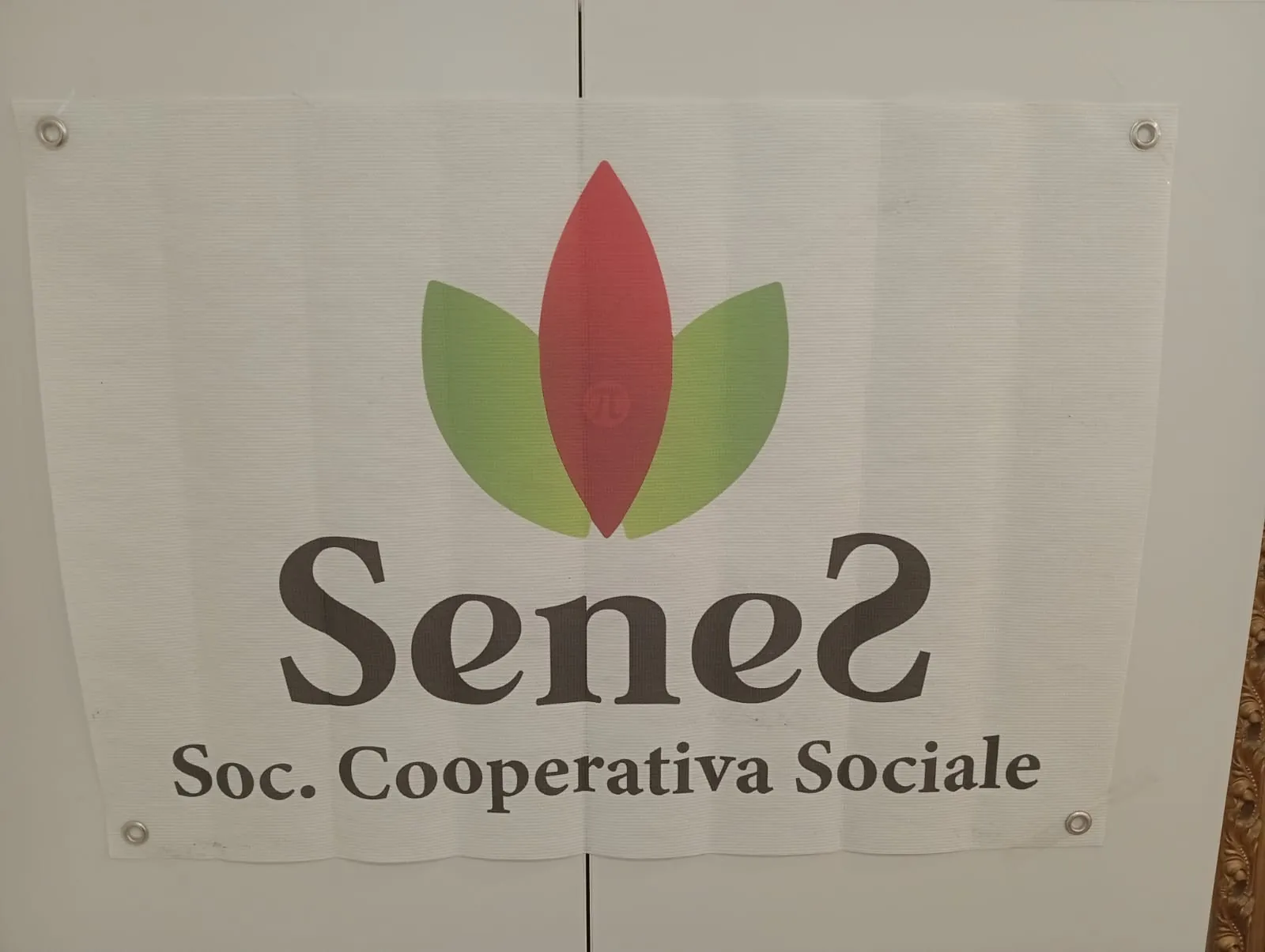 Il marchio SENES esposto nella sede — Terrasini, Italia